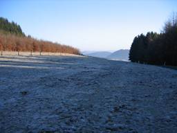 IMG_9612.JPG