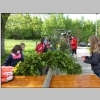 Pfingstbaum_Aufstellen_2013-05-18_PZ_web-018.jpg