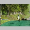 Pfingstspringen_Willingen_2013-05-19_SW-005.jpg