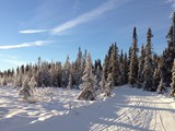 IMG-20131122-WA0007