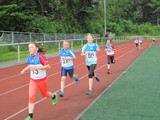 IMG_0262_neu