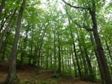 P1050087