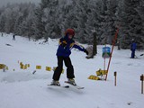 IMG_3191_neu