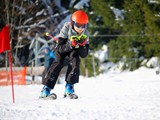 IMG_3279_N