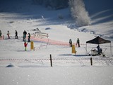 IMG_3384
