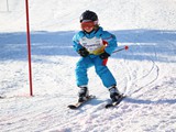 IMG_3491_N