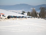 IMG_3529
