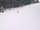 WP_20170129_10_11_39_Rich
