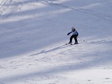 DSC07309