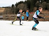 IMG_1341