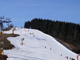 DSC07950