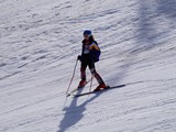 DSC07964
