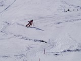 DSC07980