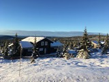 IMG_1524