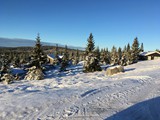 IMG_1525
