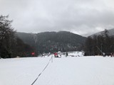 IMG_1085