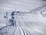 7933_20220313_092939_214590429_original