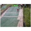 DSCN4719.JPG
